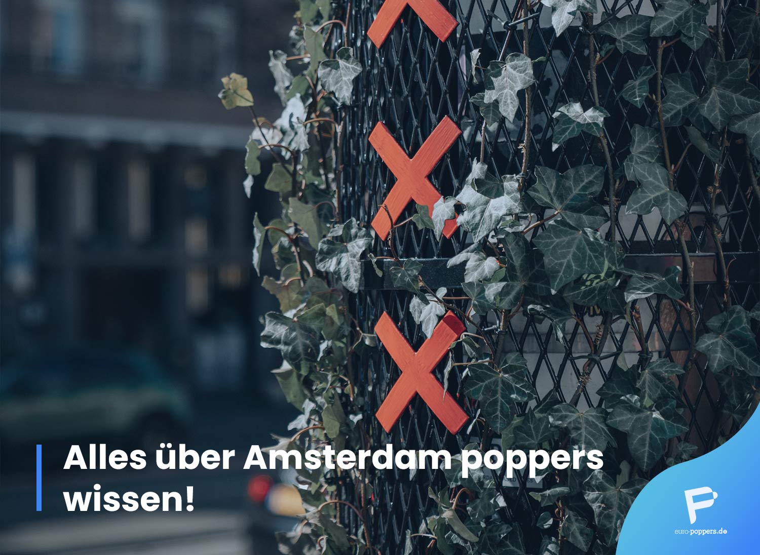 amsterdam poppers