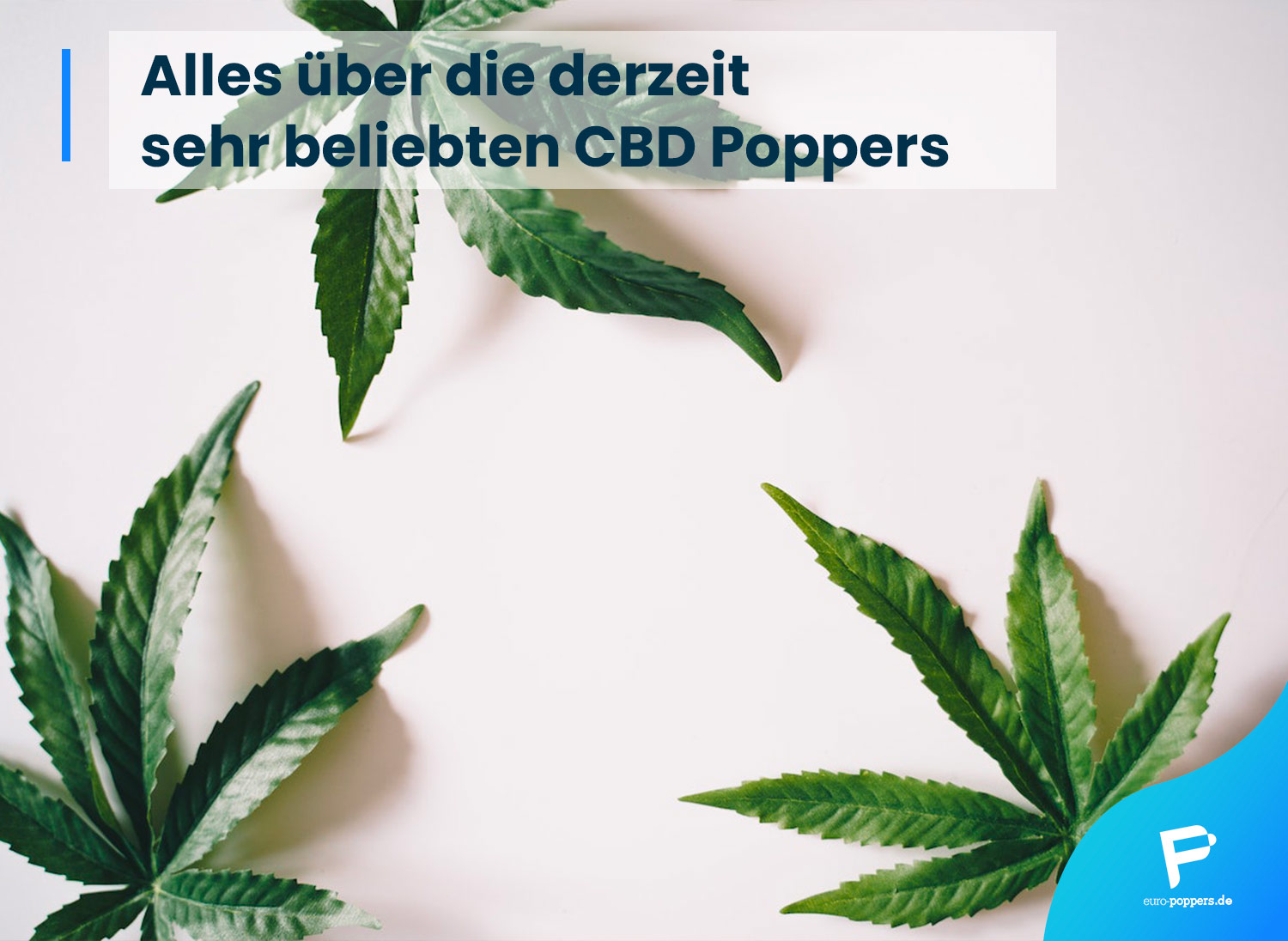 Read more about the article Alles über die derzeit sehr beliebten CBD Poppers