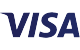 visa card